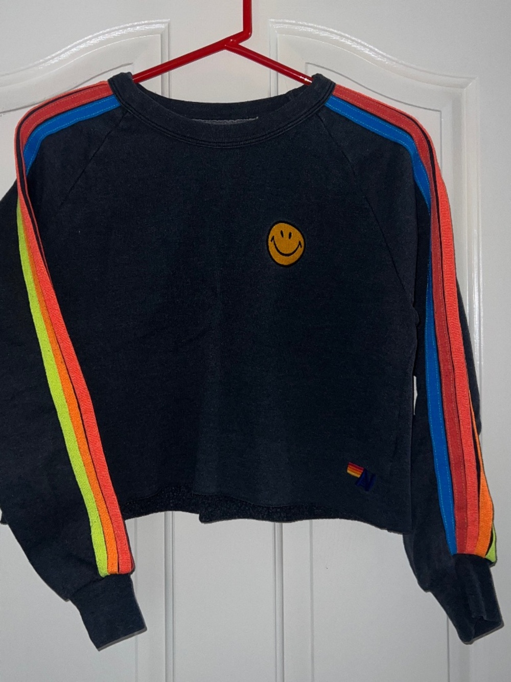 Aviator Nation -Small- smiley crop rainbow stripe